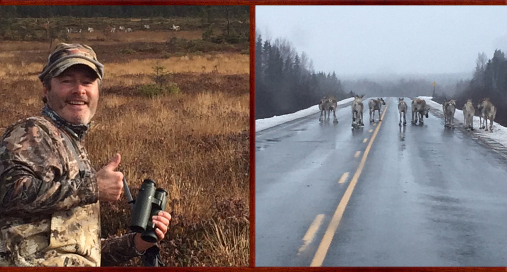 Caribou Hunting Photos